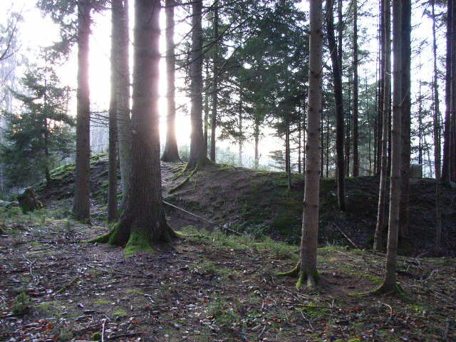 Bauernfliehburg Wieslings