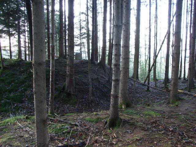 Bauernfliehburg Wieslings