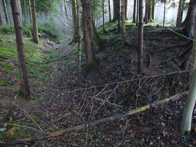 Bauernfliehburg Wieslings