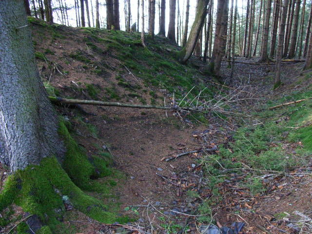 Bauernfliehburg Wieslings