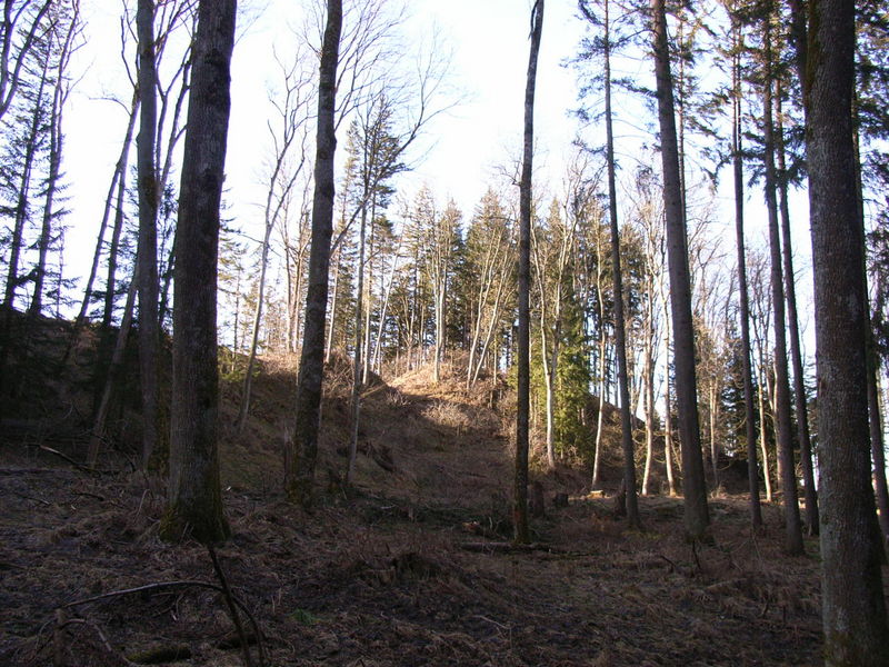 Blick von Südosten auf den Burgstall