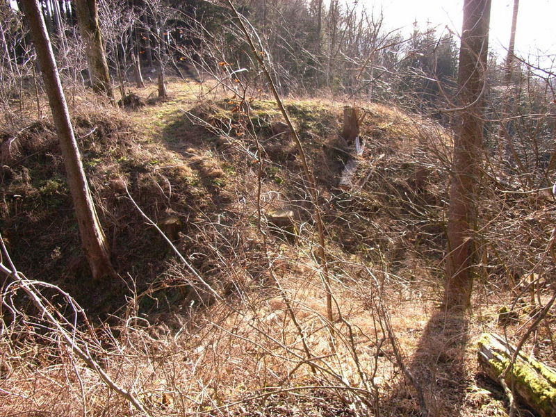 Burgstall Kapf, Halsgraben, Blickrichtung Süden