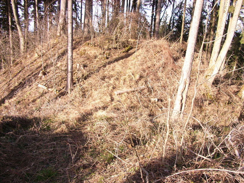 Burgstall Kapf, Blick vom Halsgraben nach Norden
