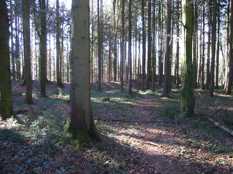 Schwedenschanze und Burgstall Dickenreishausen