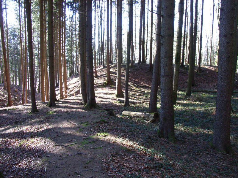 Burgstall und Schwedenschanze Dickenreishausen