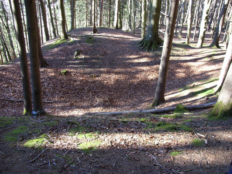 Burgstall Dickenreishausen