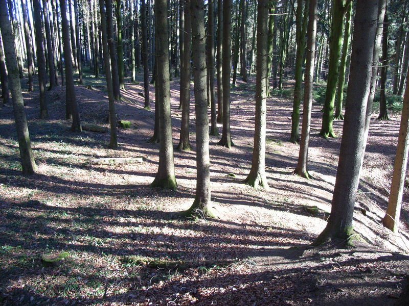 Schwedenschanze Dickenreishausen