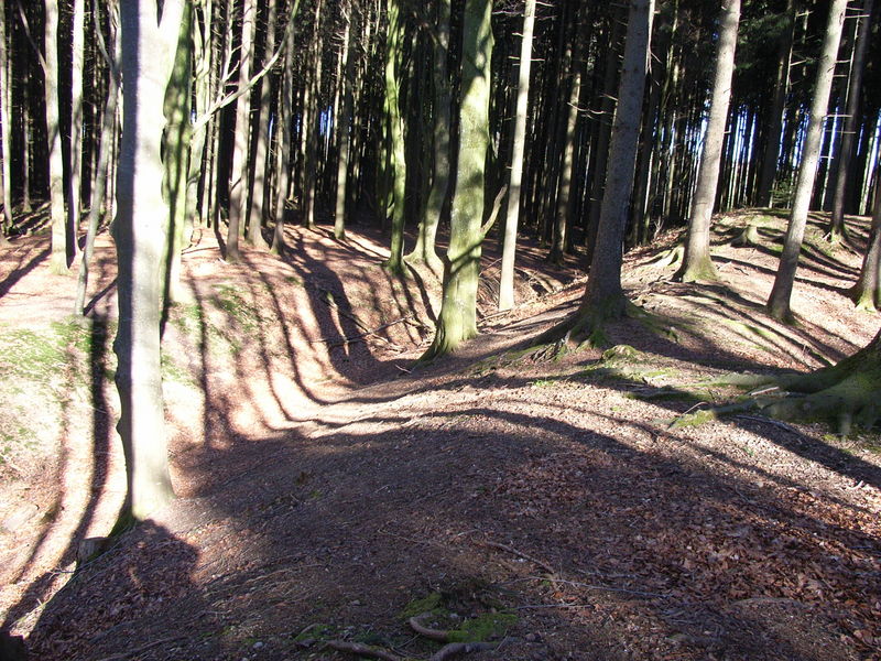 Burgstall Dickenreishausen