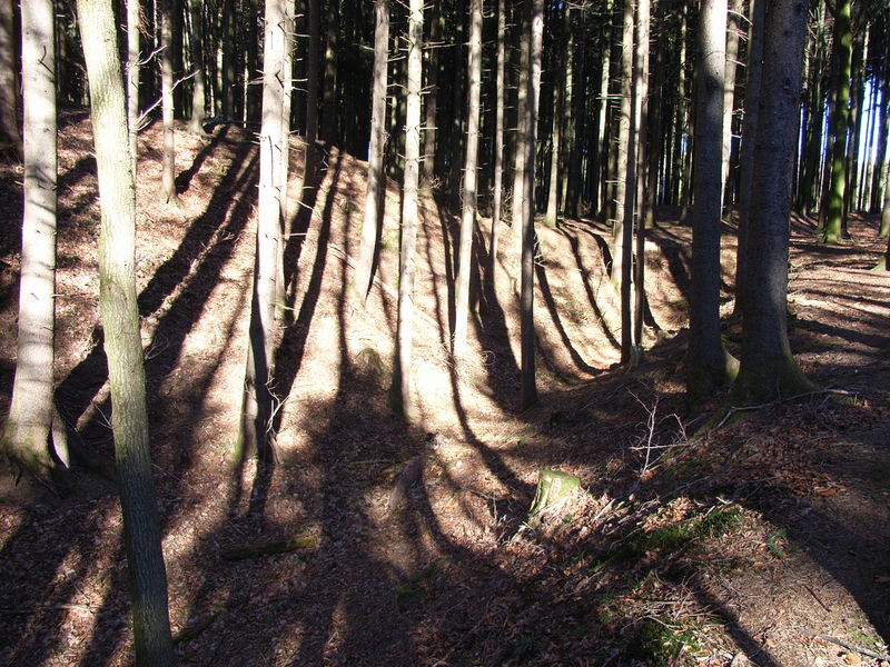 Burgstall Dickenreishausen