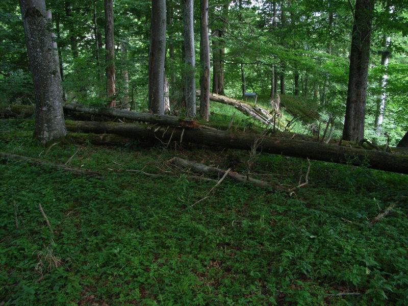 Burgstall Erisberg