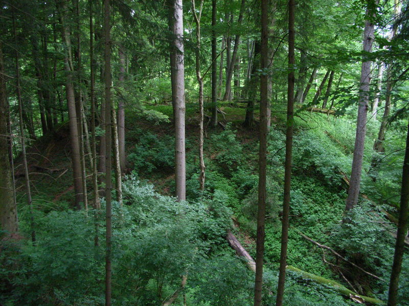 Halsgraben