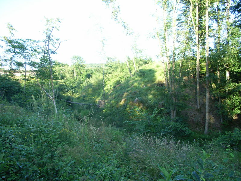 Burgstall Egelsberg bzw. Hackenbach