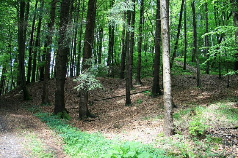 Ansicht von Süden