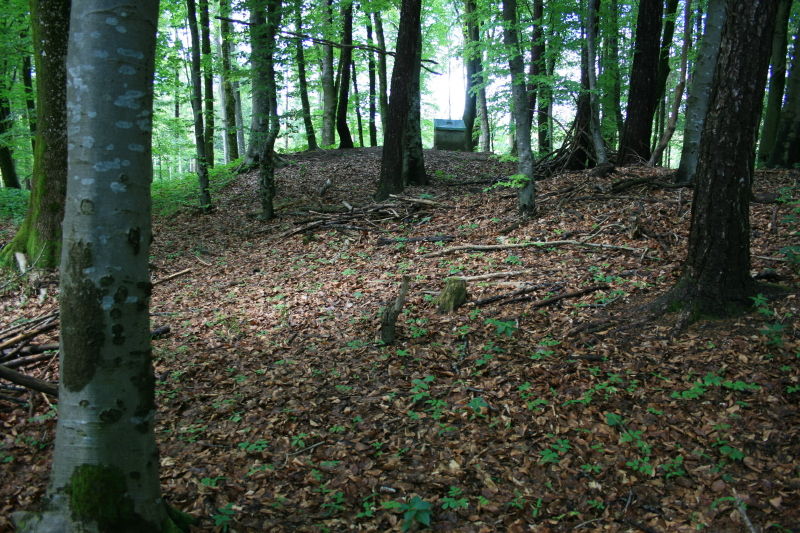 Blick zum Gedenkstein