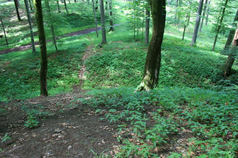 Blick in den Burggraben