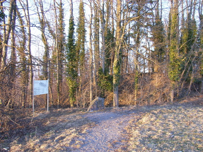 Burgstall Theinselberg