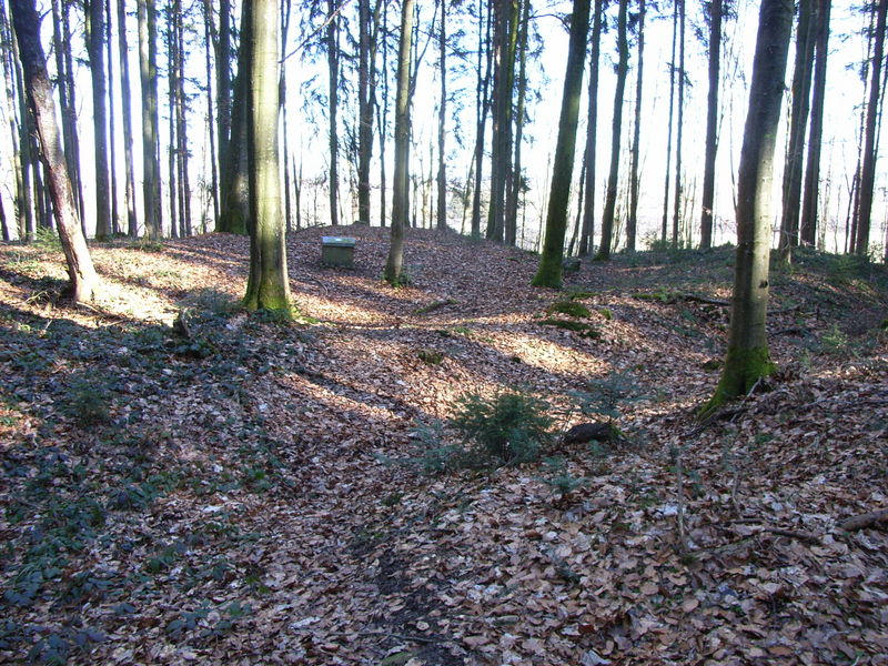 Burgus beim Dickenreis