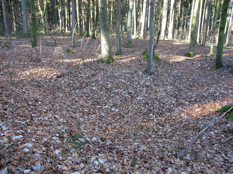 Burgus beim Dickenreis