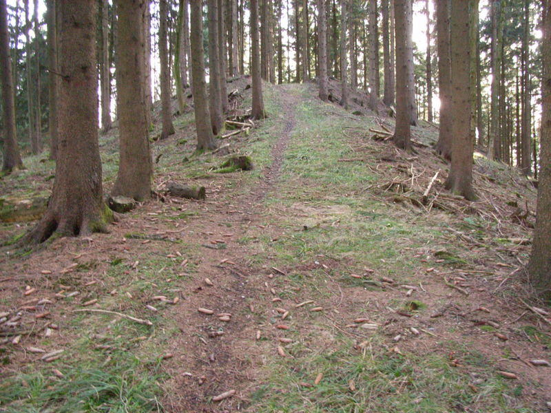 Blick von Norden auf das Höhenheiligtum