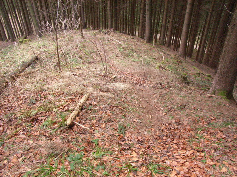 Blick nach Süden Höhenheiligum