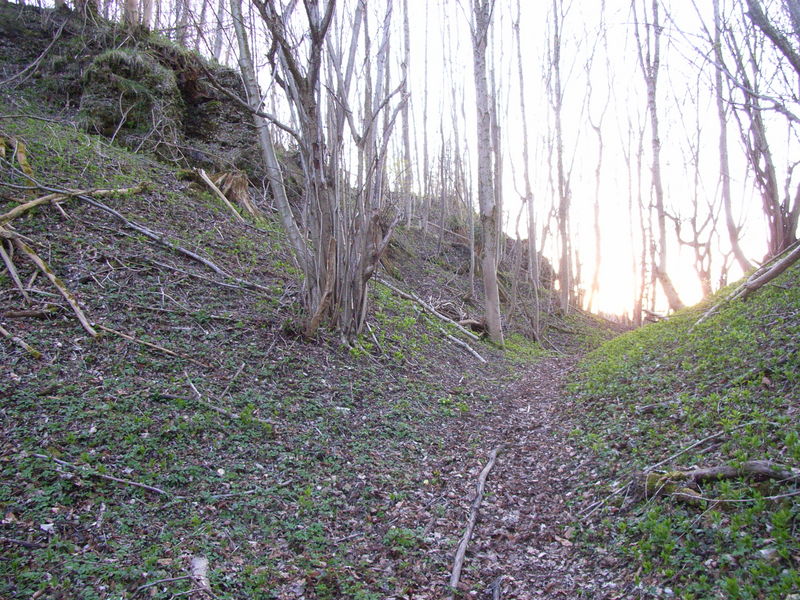 Halsgraben