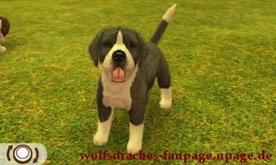 Dogge Schwarzer Mantel