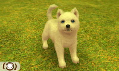 Husky Weiß