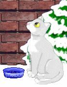Komm rein
Einsam und kalt bis in die Knochen
stiefelt er mühsam durch den Schnee.
Der Hunger quält ihn schon seit Wochen,
er fühlt das müde Herzchen pochen,
ein leerer Bauch tut wirklich weh!
Der Abend naht, und großes Schweigen
in der Natur, es ist so still.
Schneeflocken wirbeln ihren Reigen,
sie wiegen schwer auf dürren Zweigen...
das müde Herzchen schlafen will!
Ein Haus dahinten und ein Licht,
die kalten Pfoten laufen schneller -
ein freundlich lächelndes Gesicht,
die Stimme sanfte Worte spricht: